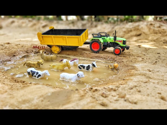 Cow Helping Video | Mini Tractor Trolley | Tractor Stuck In Mud | Samim Creator