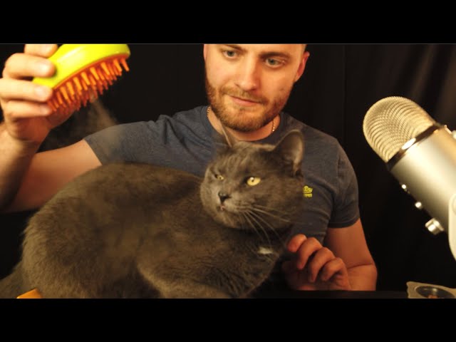 Brush the cat if you can. Soft, plush ASMR for your sleep