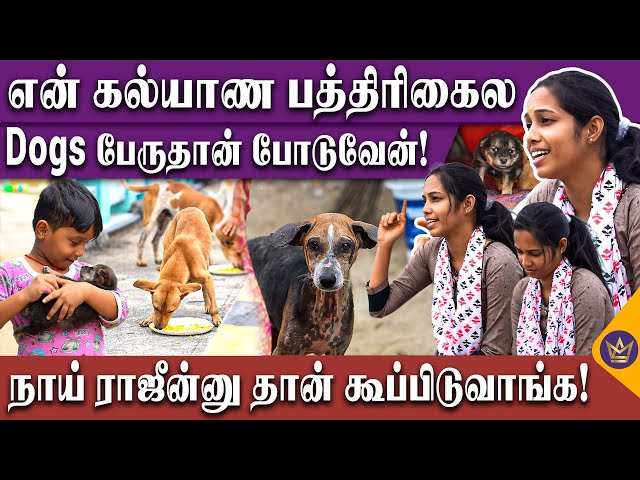 நடுராத்திரி சுடுகாட்டுக்கு நாயை தேடி போனோம்! - Dog Lover Moni Emotional | Street Dogs, Pet Animal