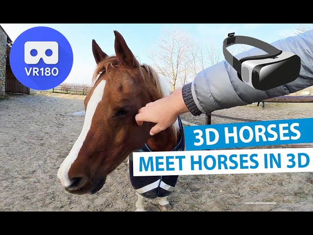 3D Meet the Animals: Meet Horses in 3D 180° [VR180]