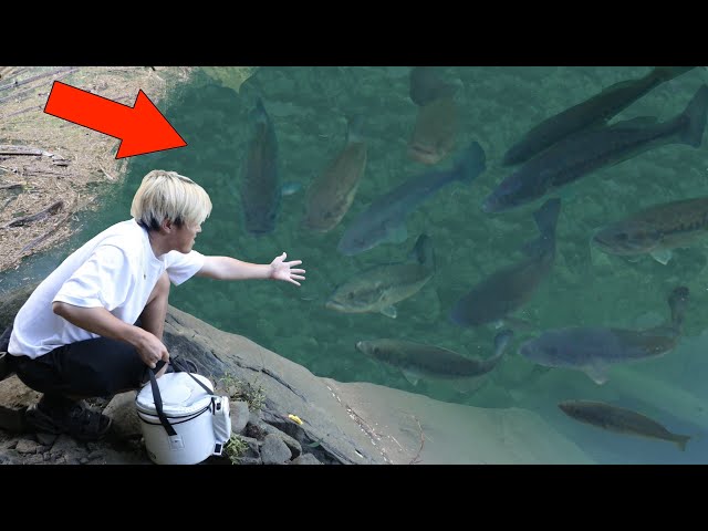 【BIG INCIDENT】When I Fished Before I Kept Spreading Shrimp In a BASS DEN!!!