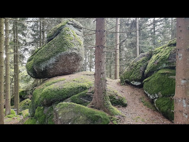 OÖ MTB 23+24 Sandl - Hussenstein - Braunberg