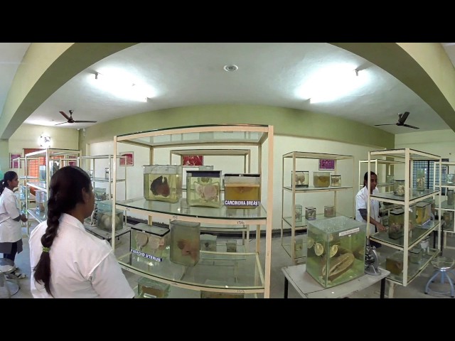 MNR MEDICAL COLLEGE : Pathology Museum Clip1