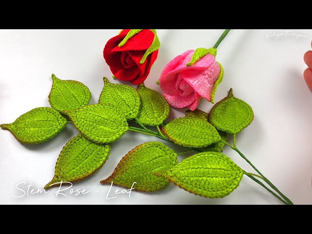 Stem Rose - Leaf