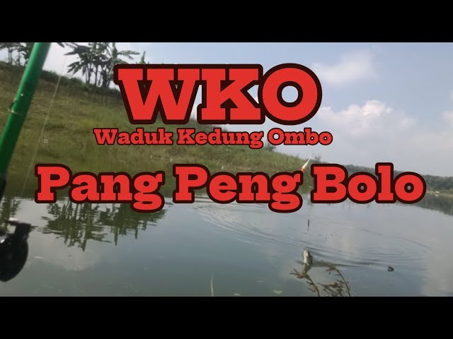 WKO terbaru || Mancing Nyobok Waduk Kedung Ombo‼️ STRIKE NILA PANG PENG ❗#mancing #fishing #fish