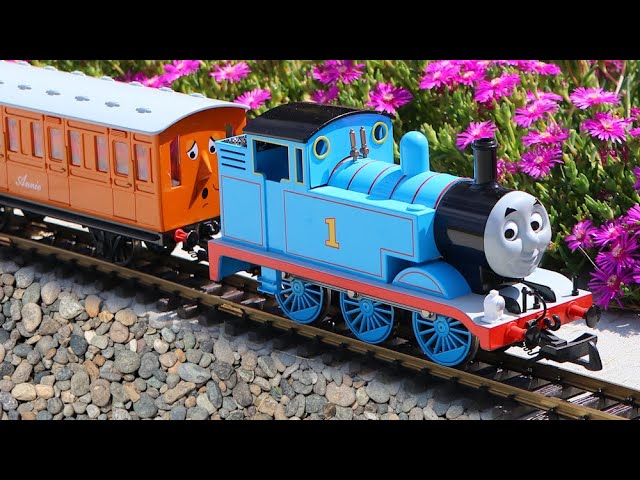 Thomas The Tank Engine In The Land Of Zim