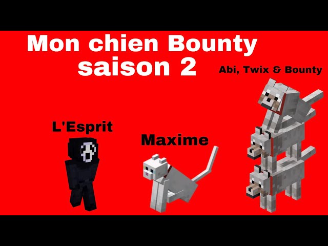 Mon chien Bounty : saison 2 #1 | On va dans un hôtel