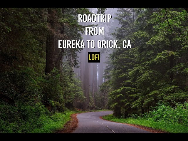 CA Roadtrip - Eureka to Orick - LOFI - VR 180