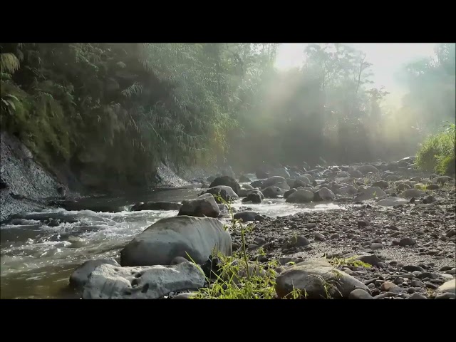 Relaxing Nature Scenes | Breathtaking Landscapes & Soothing Piano in 4K