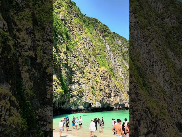 Phi Phi Island Maya Bay 2024