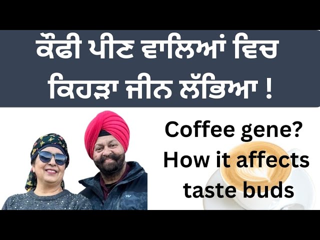 Coffee gene ? How it affects taste buds ! ਕੌਫ਼ੀ ਪੀਣ ਵਾਲਿਆਂ ਵਿੱਚ ਨਵਾਂ ਜੀਨ ਲੱਭਿਆ !( 368)