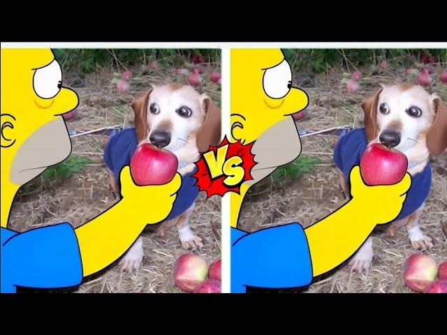 km Dog with Apple in Mouth   Apple Dog AI Memes Compilation