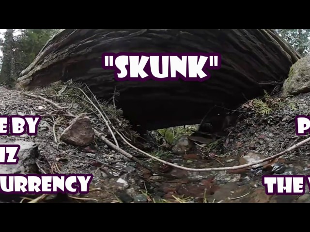 NEW SINGLE BY CID VISHIZ THRU VINTAGE CURRENCY - "SKUNK"