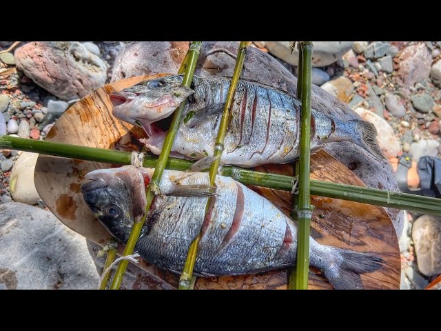 How to cook delicious fish. Recipe. Cooking ourselves in nature. Wild Fish Seafood. Tasty