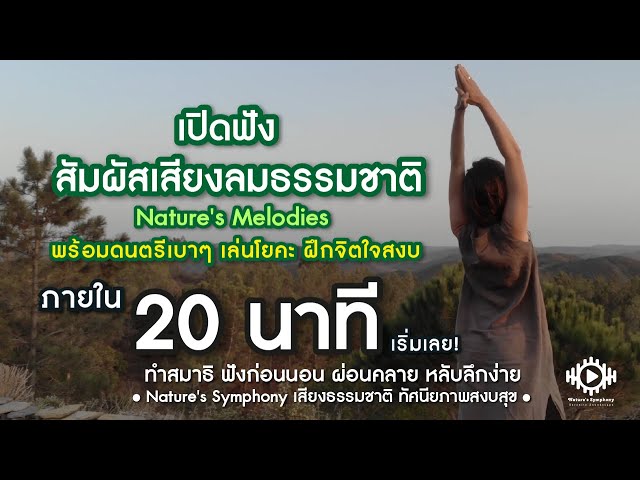 Nature's  Melodies สัมผัสเสียงลมธรรมชาติ พร้อมดนตรีบำบัดจิต ทำสมาธิ เล่นโยคะ เหมาะกับผู้เริ่มต้นใหม่