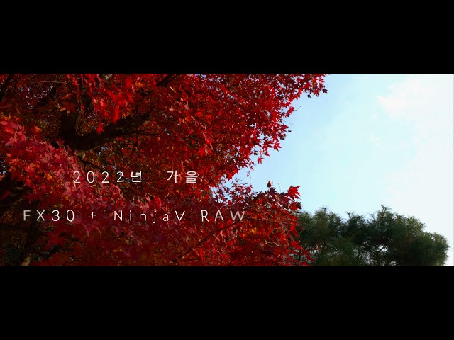 2022년 가을, FX30+NinjaV RAW HDR