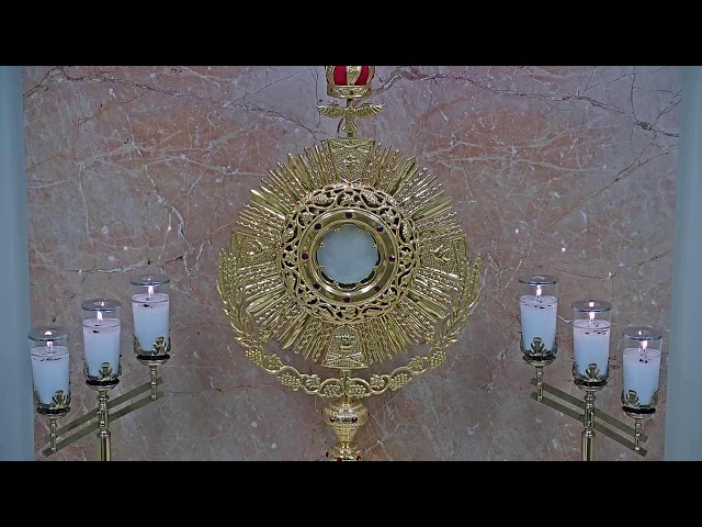 Adorecast – 24/7 Live Eucharistic Adoration