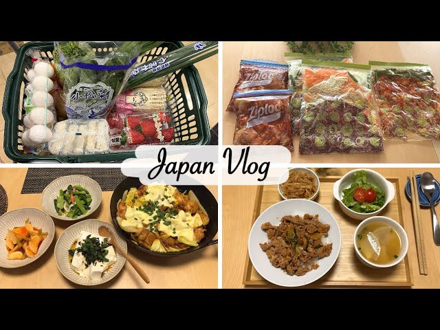 experiments fun 🎵 3 days of dinner with homemade frozen meal kits