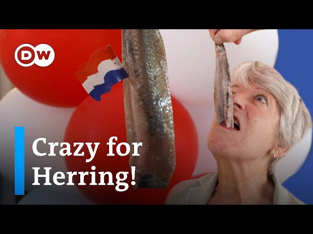 Why the Dutch LOVE herring | The Netherlands’ Best Street Food