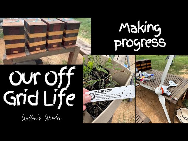 Our Off Grid Life. Making progress - selling handmade soap, wind turbine, native bees and trees