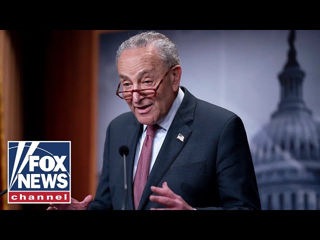 Bombshell report details how Schumer pushed Biden out