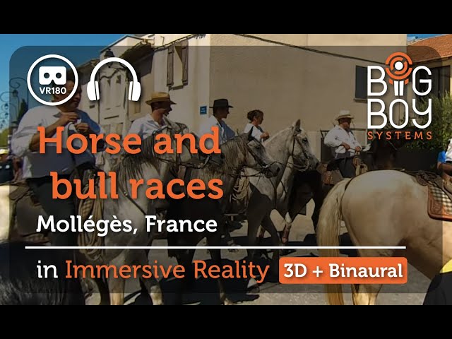 Immersion into Horse and Bull races in France [3D + Binaural]