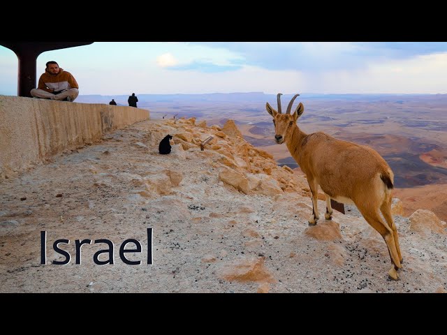 Israel: A Journey Through a Thunderstorm to the Red Sea via the Negev Desert.