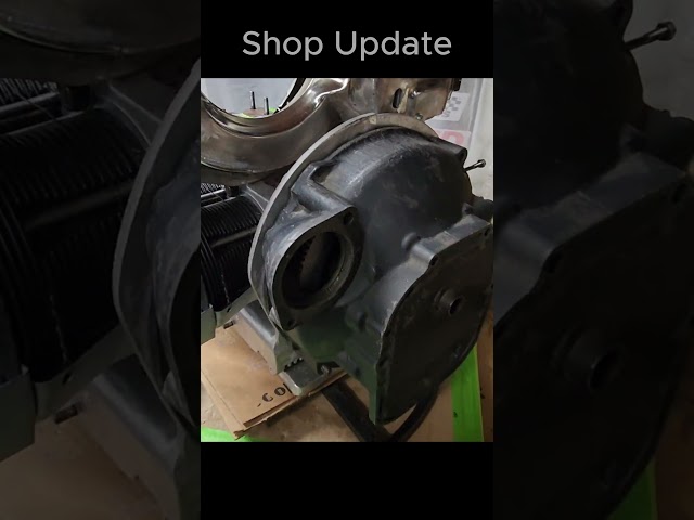 Shop Update Short