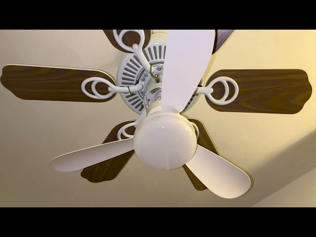 Testing a Flower Fan Light socket ceiling fan with different numbers of blades