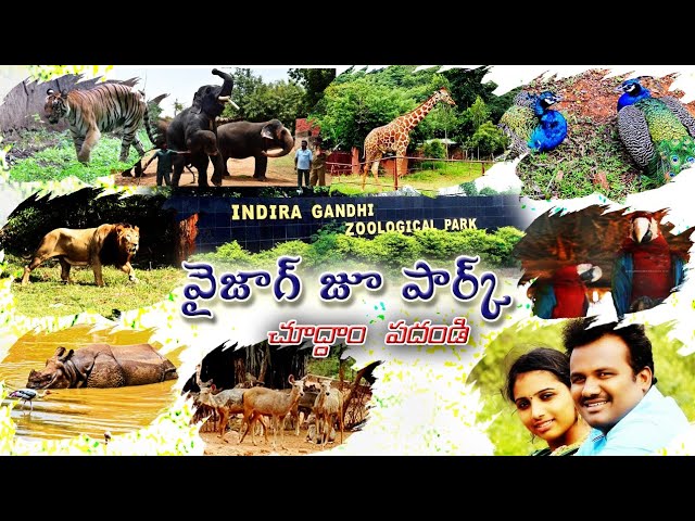 Vizag zoo Park..Indira Gandhi Zoological park in Vizag..... Andhrapradesh..... చూద్దాం పదండి