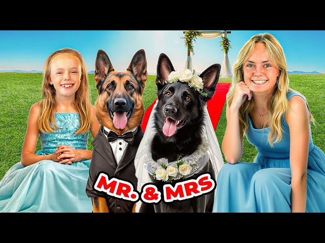 Our Dog Gets MARRIED! Disaster