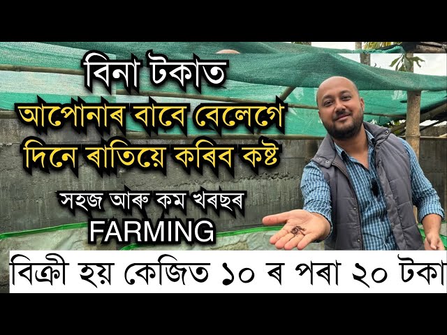 বিনা টকাত আপোনাৰ বাবে বেলেগে দিনে ৰাতিয়ে কৰিব কষ্ট॥ Vermi Compost॥ How to make vermi compost easily