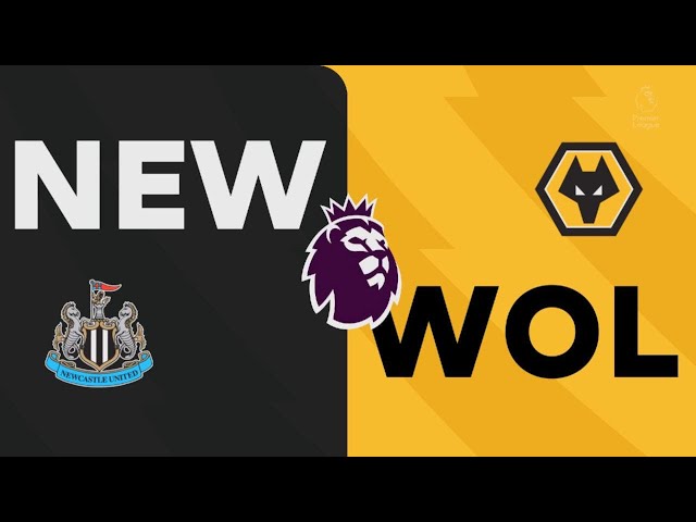 Newcastle United 6-1 Wolves, premier league match highlights