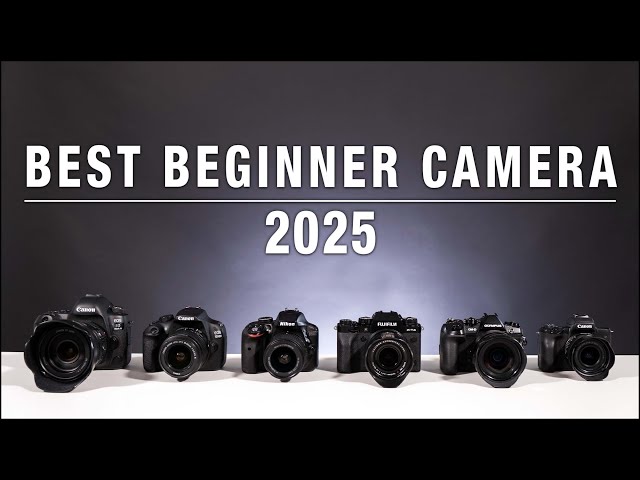 Best Beginner Camera - 2025 - What you need to know