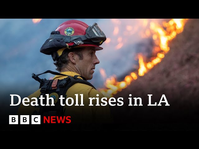 LA faces 'extreme fire danger' as high winds forecast | BBC News