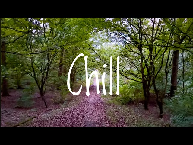 Evening Nature Walk | Relaxing Nature Sounds for Stress Relief & Meditation