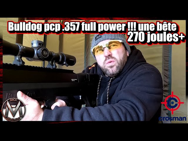 Benjamin Bulldog .357 PCP FULL POWER 270 joules Monstrueuse !