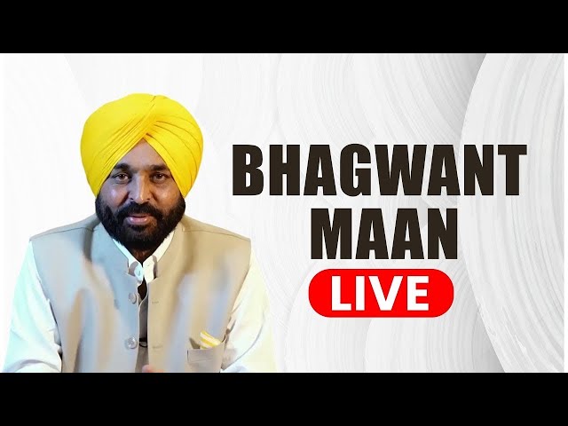 Punjab CM Bhagwant Mann Press Conference | Indian Immigrants | US military aircraft |Amritsar