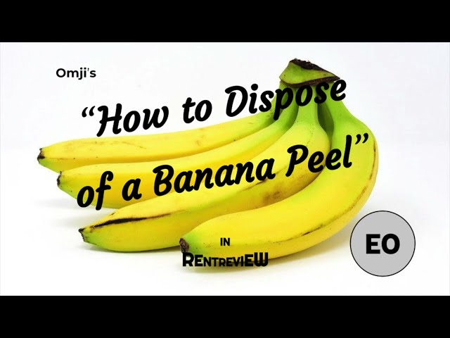 "How to Dispose of a Banana Peel" | SHORT FILM