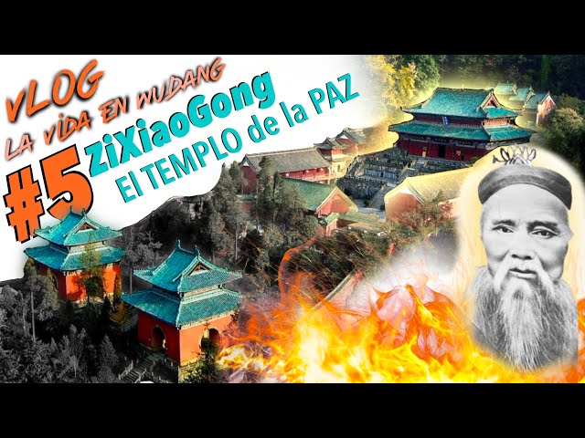 Conoce al sabio GUERRERO que salvó los TEMPLOS de Wudang | Visita ZiXiaoGong \ La vida en WUDANG #5