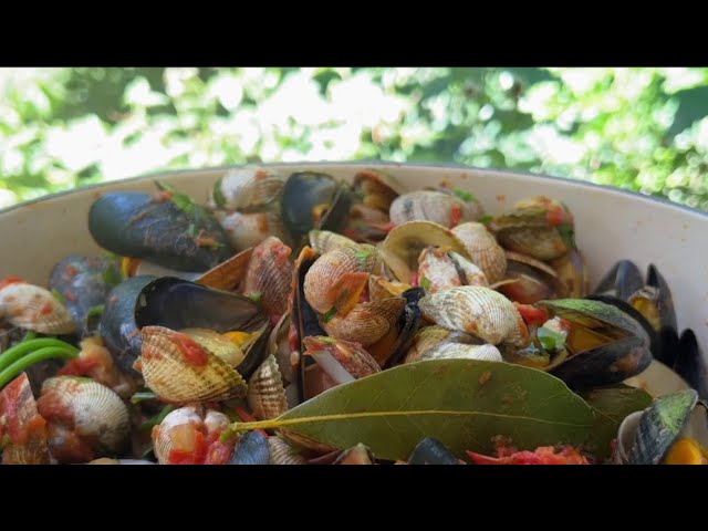 Gourmand - Coquillages à la tomate