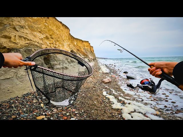 JAGD NACH DEM OSTSEE SILBER