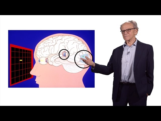 Torsten Wiesel (Rockefeller University): Exploring the Visual Brain