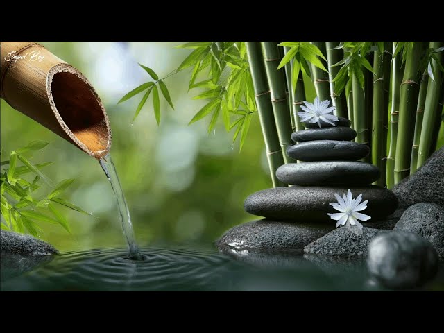 Relaxing Sleep Music | Water Sounds, Healing of Stress, Relieves Anxiety