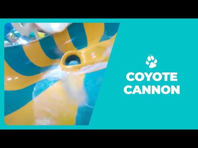 Great Wolf Lodge 360 | Coyote Cannon