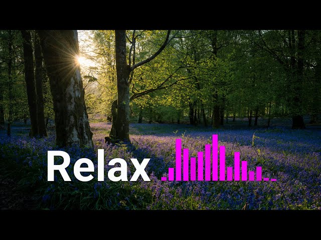 Instrumental Relaxing Music for Stress Relief: Calming Piano Music with Nature Sounds