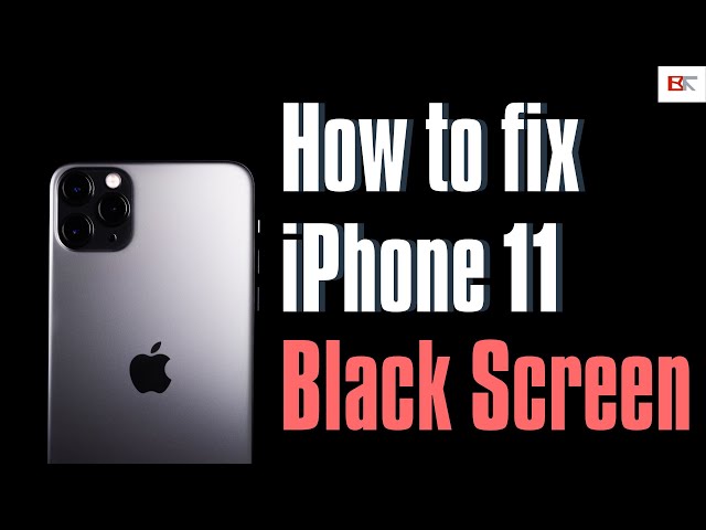 Fix iPhone 11 Black Screen Problems | Black Screen But Still On, Black Screen of Death, etc.