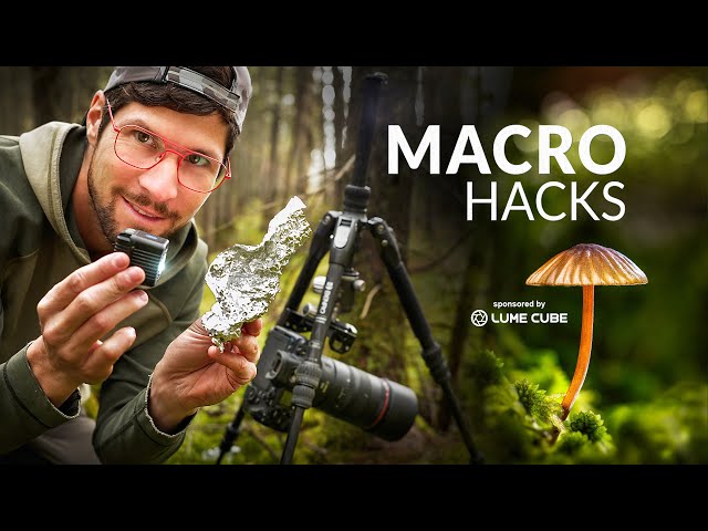 7 Macro Photography Hacks in 90 Seconds!