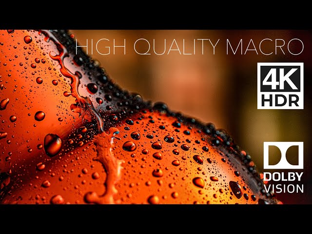 The Beauty of Macro VideoGRAPHY in Dolby Vision (4K HDR 60FPS)