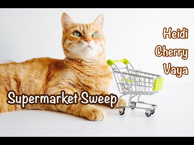 Fun Bedtime Story For Kids | Heidi Cherry & Vaya - Supermarket Sweep